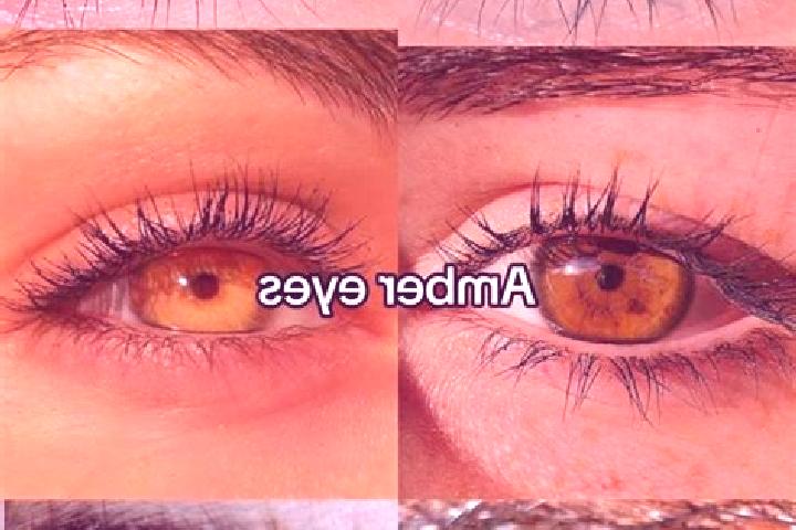 escort Osasio