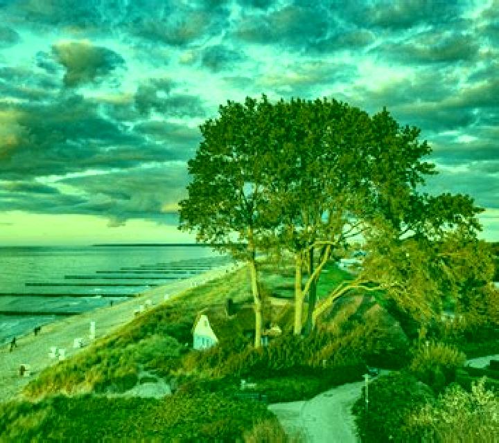 escort Ostseebad Ahrenshoop