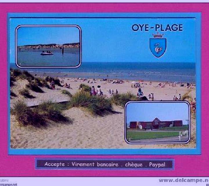 escort Oye-Plage