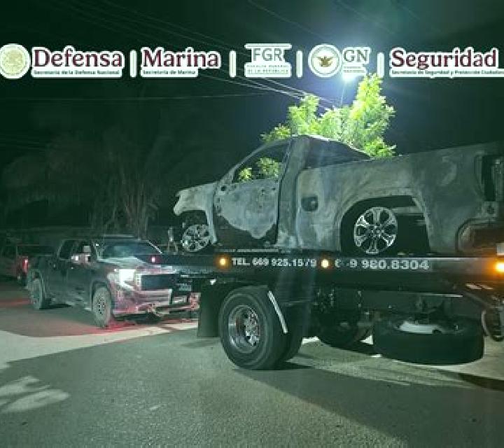 escort Palmito del Verde