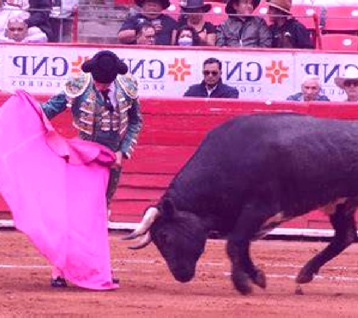 escort Paso de los Toros