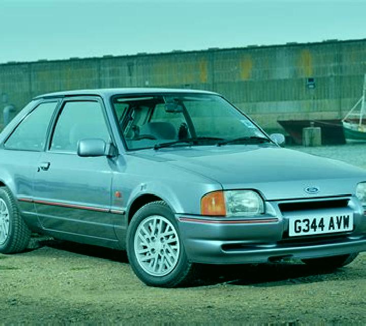 escort Pawgan