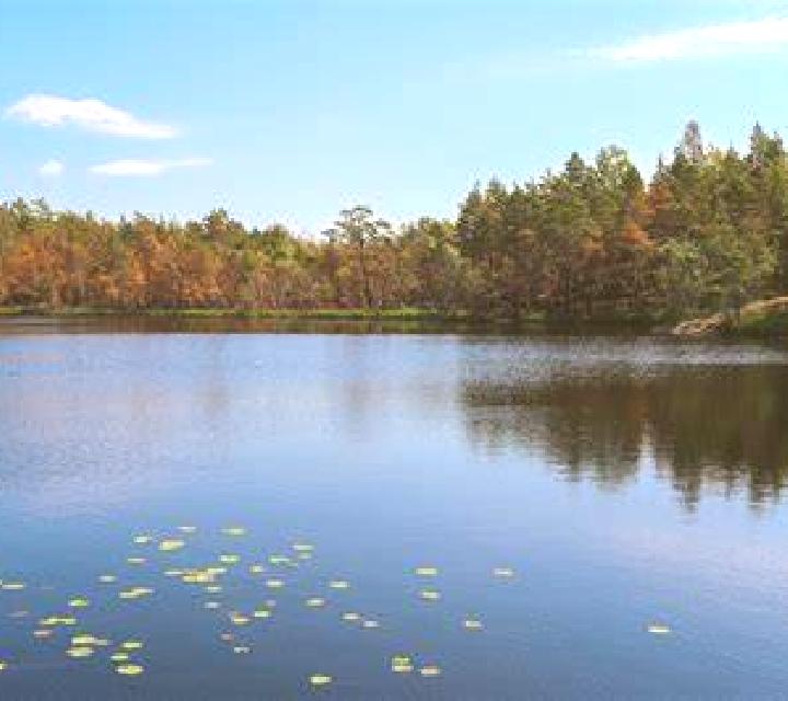 escort Peach Lake