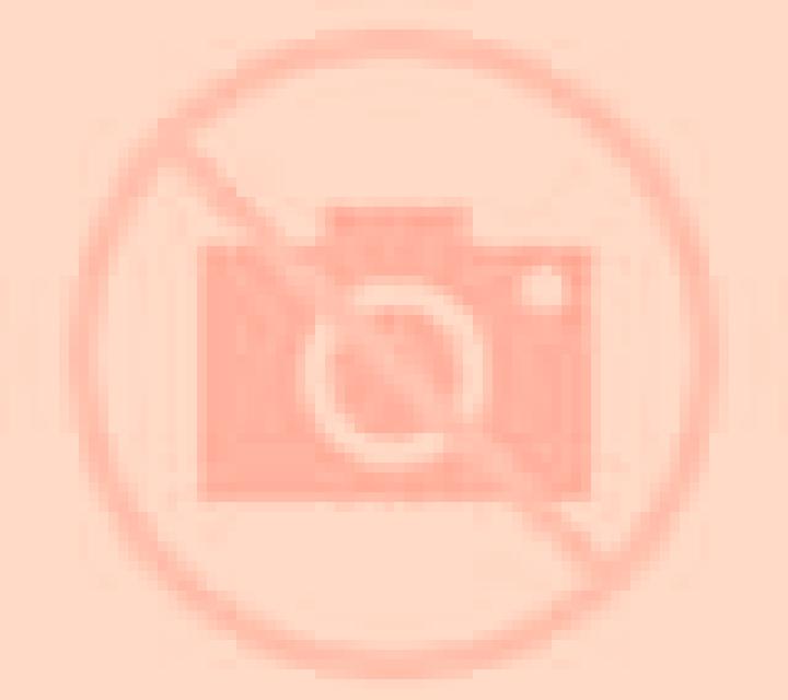 escort Phonthong