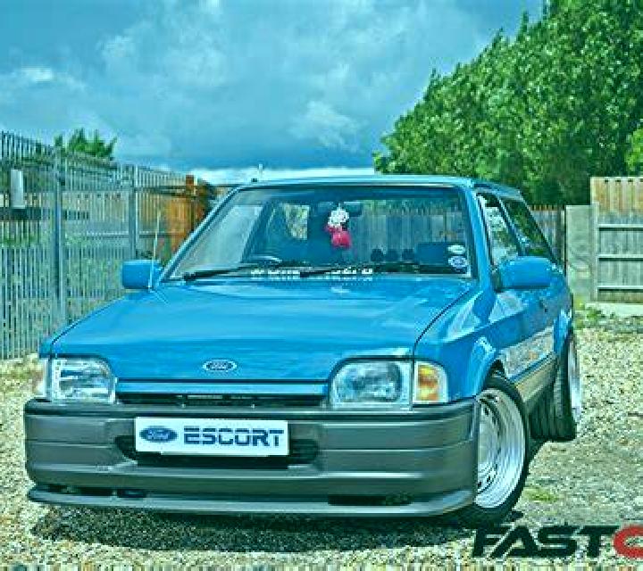 escort Pitkin