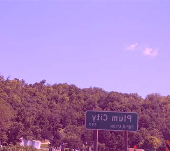 escort Plum City