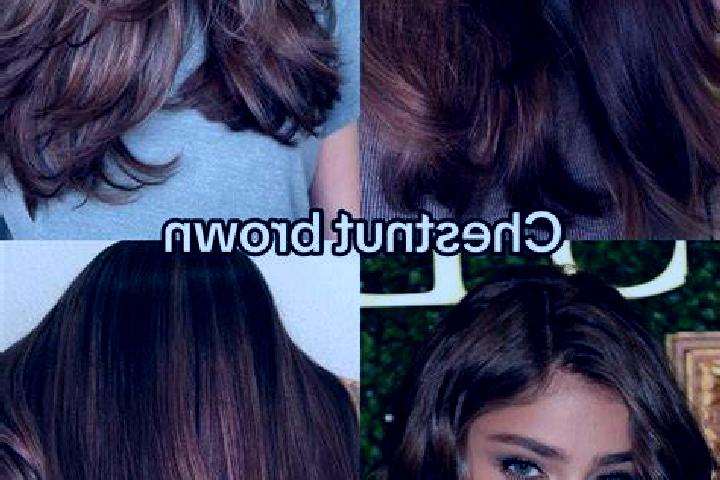escort Pocito