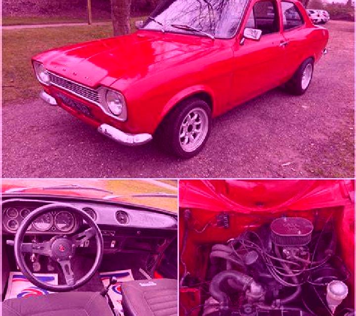 escort Pohle