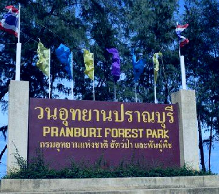 escort Pran Buri