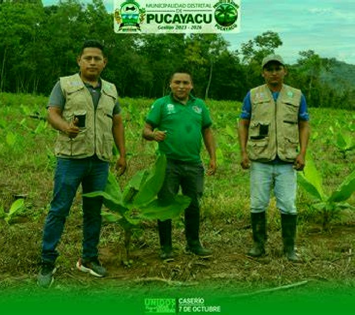 escort Pucayacu