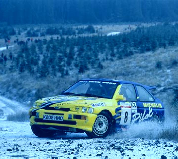 escort Qillin
