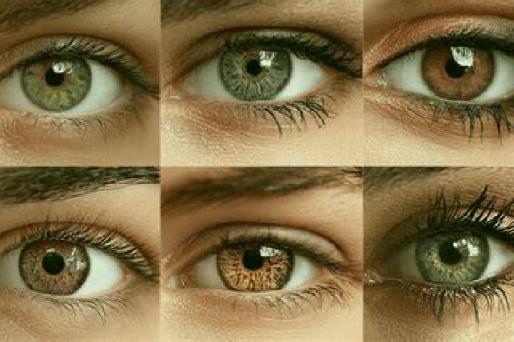 escort Rio Luis