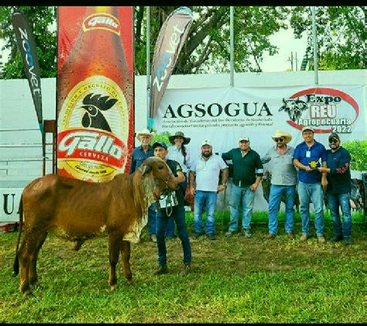 escort Rodeo Arroyo Pepesca