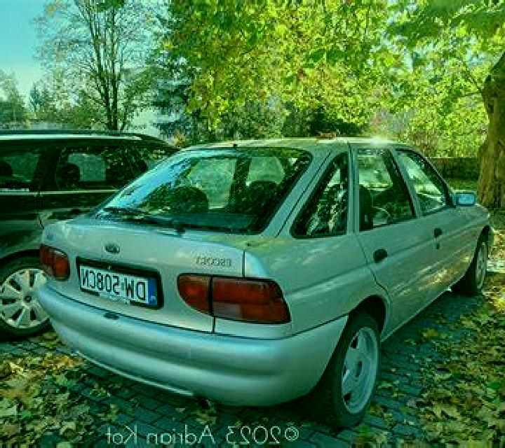 escort Rodinghausen