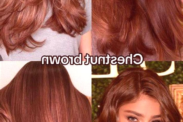 escort Rogno
