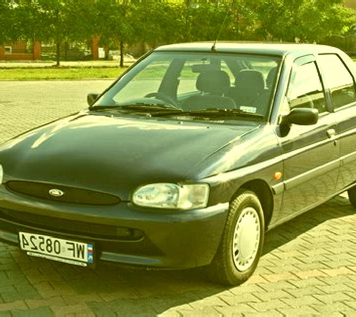 escort Rogojeni