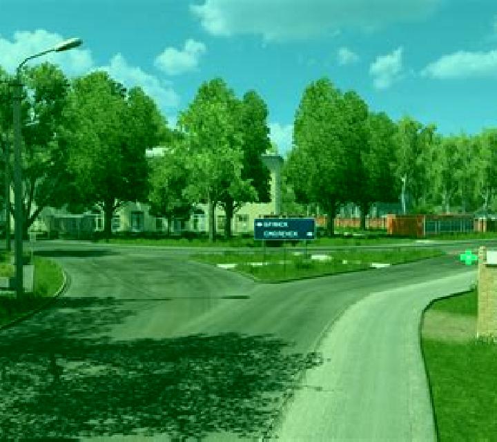 escort Roslavl