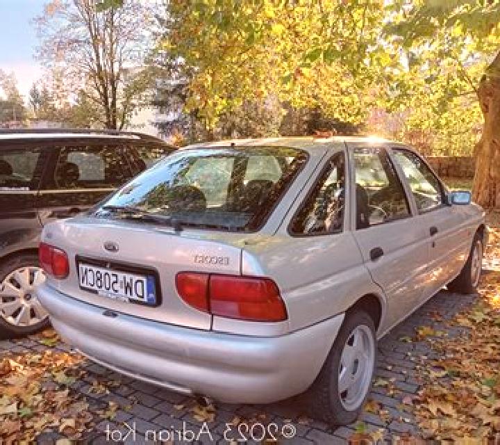 escort Rotkreuz