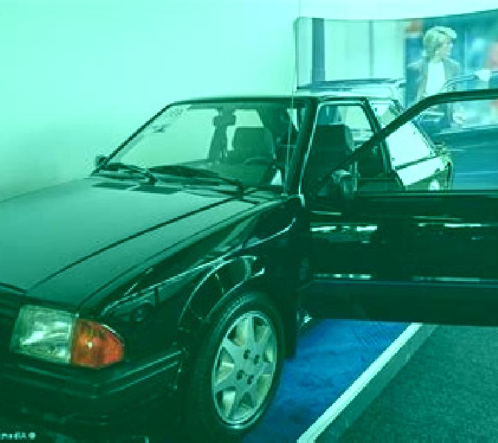 escort Rozavlea