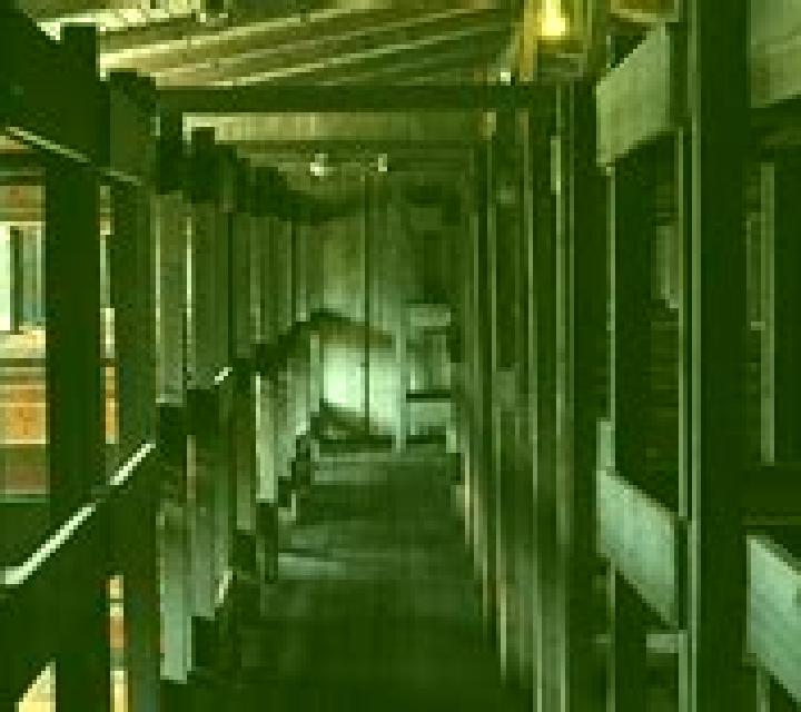 escort Sachsenhausen