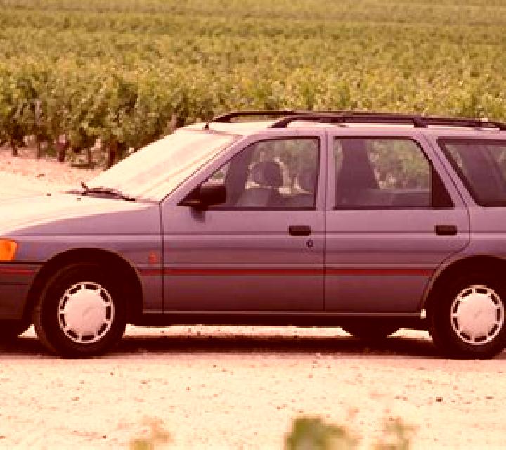 escort Salciile