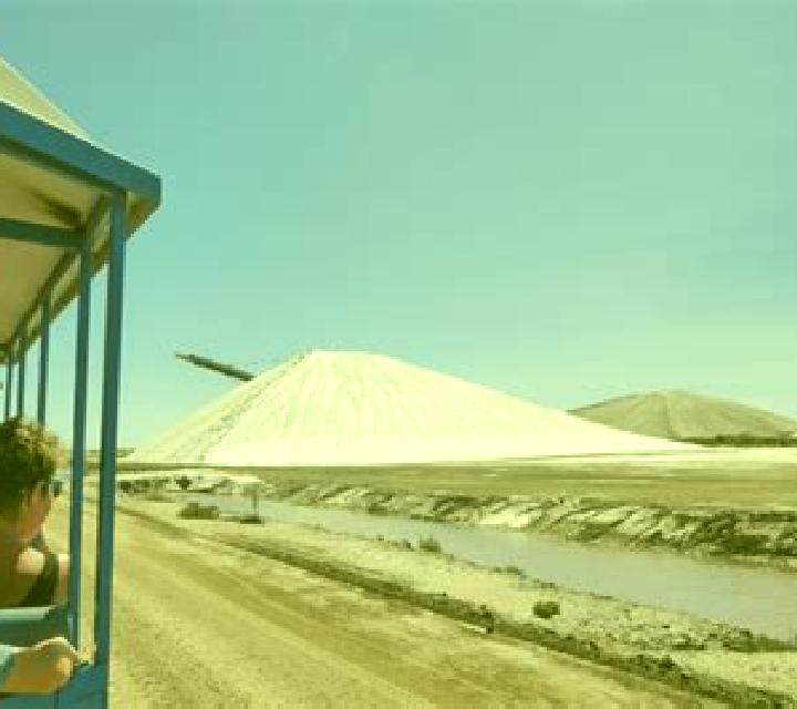 escort Salins
