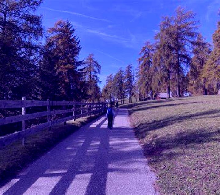 escort San Genesio