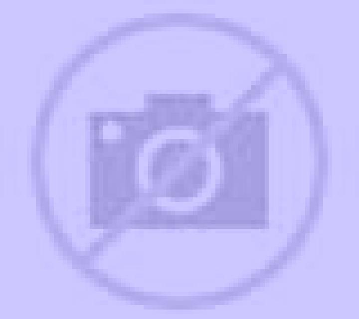 escort San Jose Ixtepec