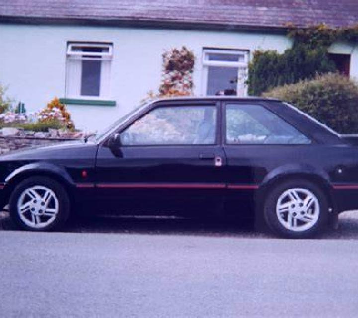 escort Sashiogi