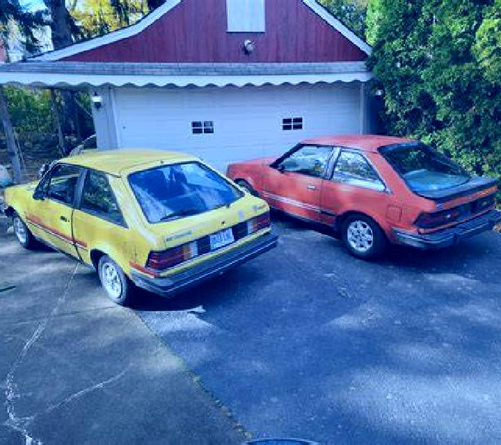 escort Schafstedt