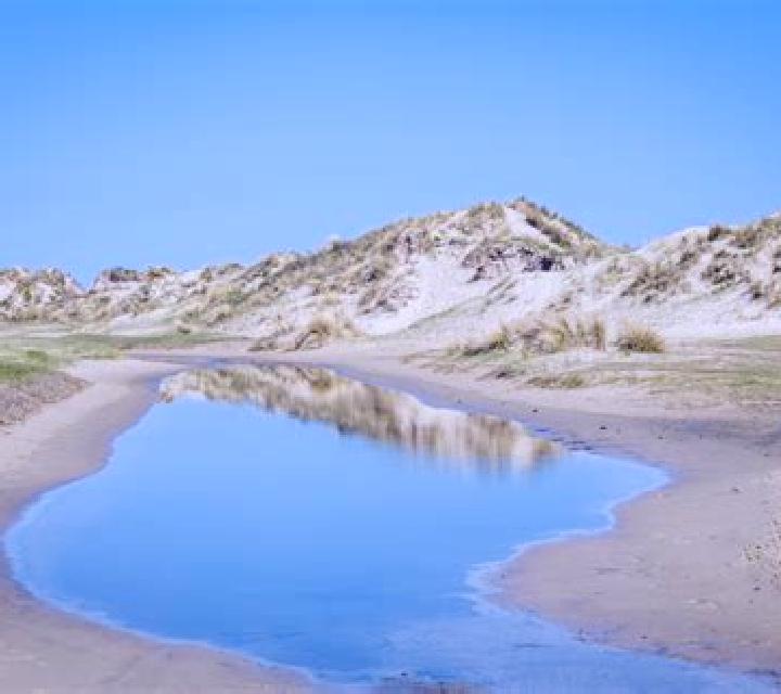 escort Schiermonnikoog