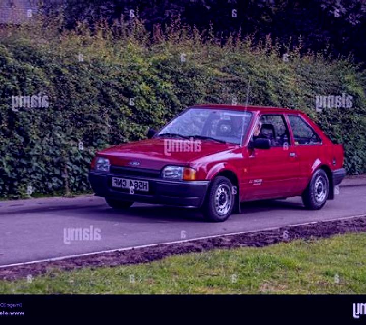 escort Schwarmstedt