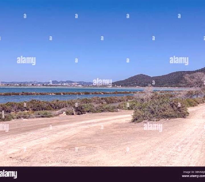 escort Ses Salines