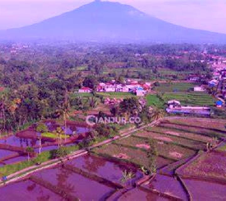 escort Sindangasih