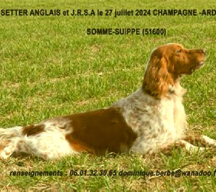 escort Somme-Suippe