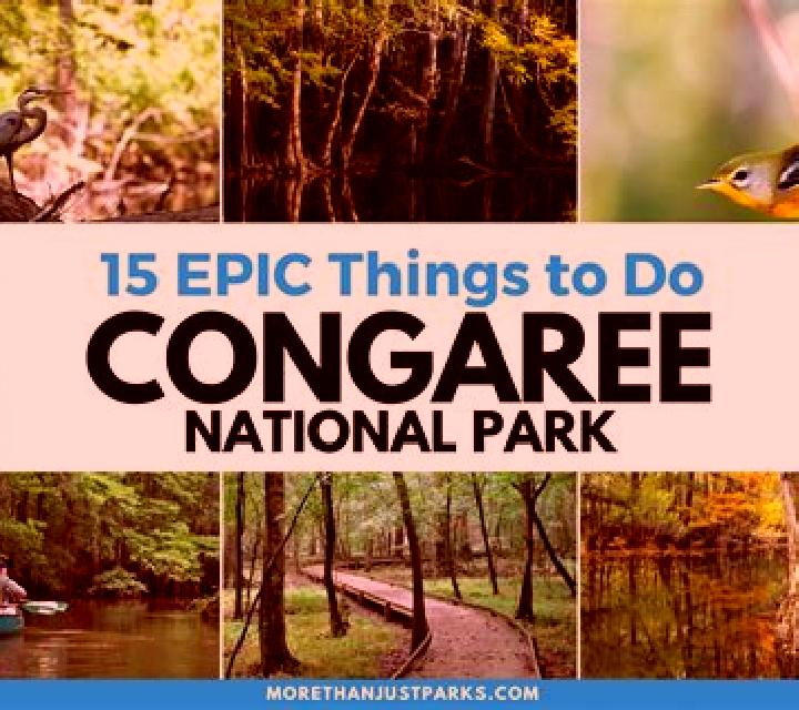 escort South Congaree