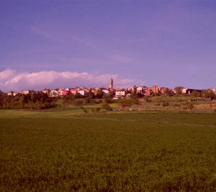 escort Spineto Scrivia