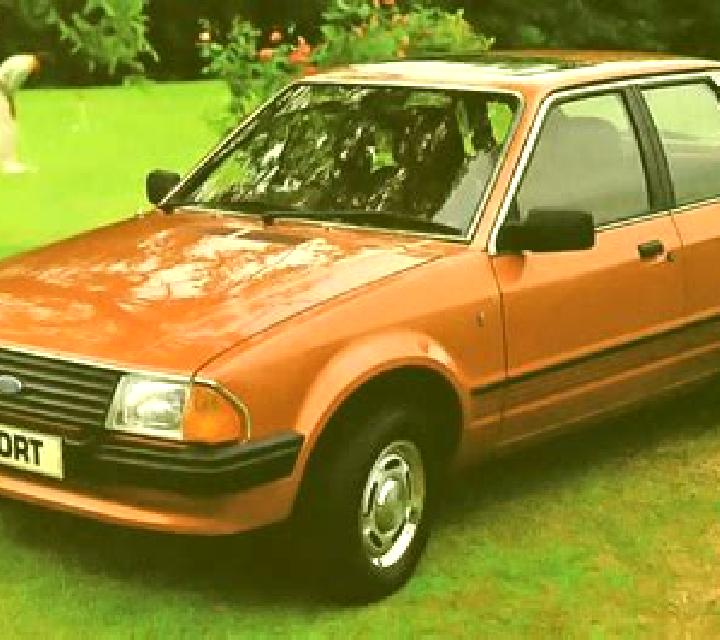 escort Spodnje Poljcane