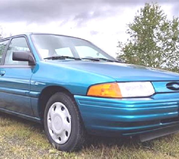 escort Stavrovo