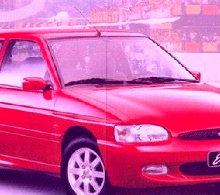 escort Stolpen