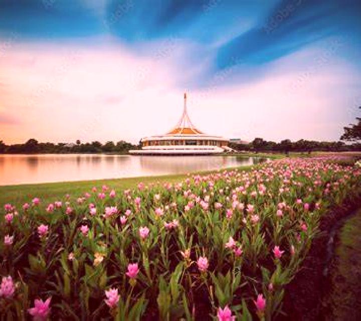 escort Suan Luang