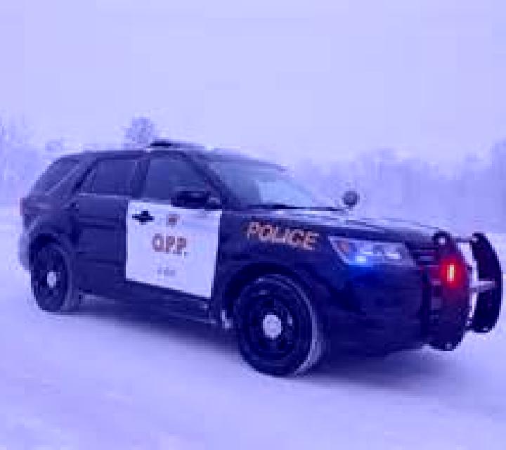 escort Sudbury