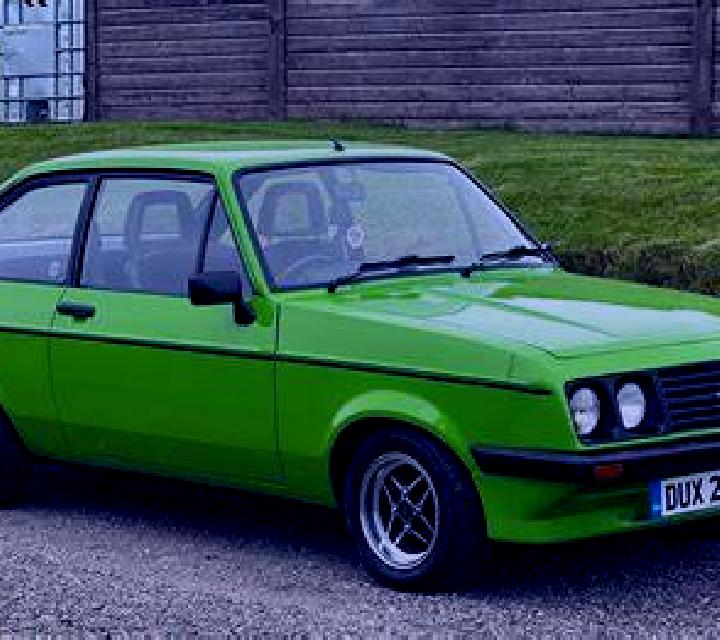 escort Surskoye