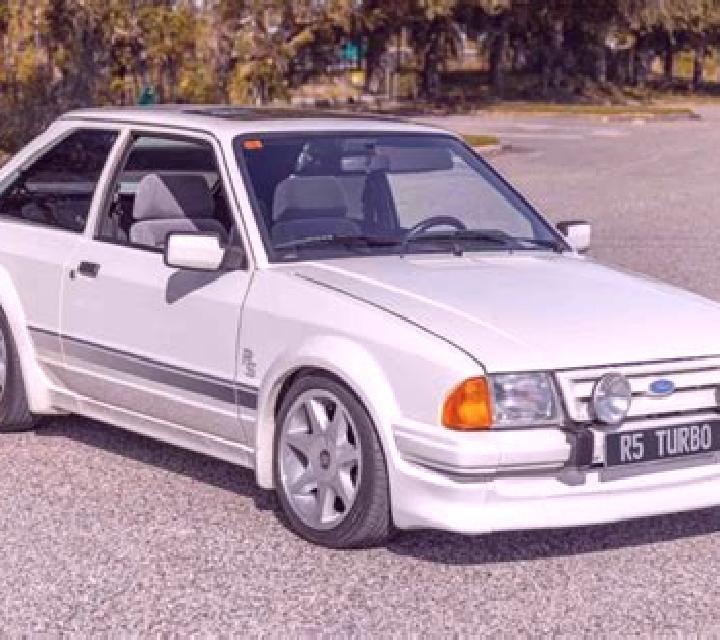 escort Tarigrad