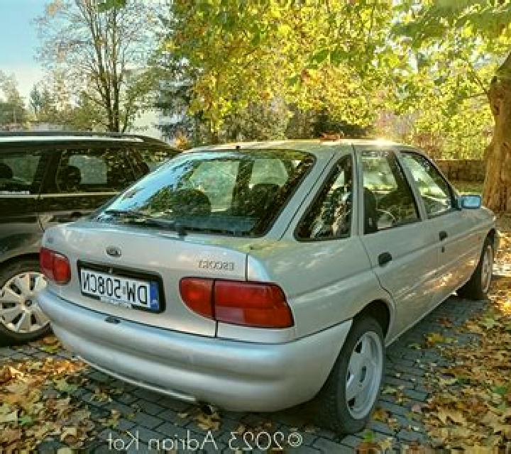 escort Tayga