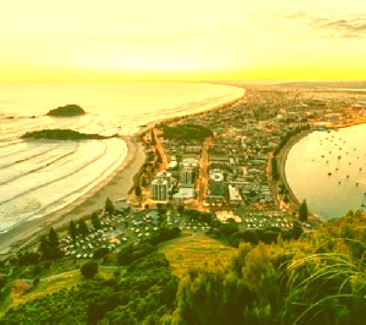 escort Te Puke