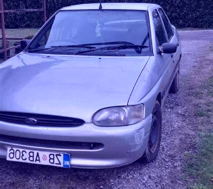 escort Teplaya Gora
