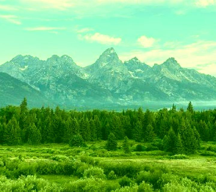 escort Teton