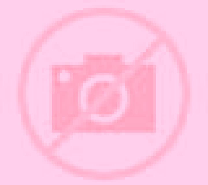 escort Thi Tran Tinh Tuc