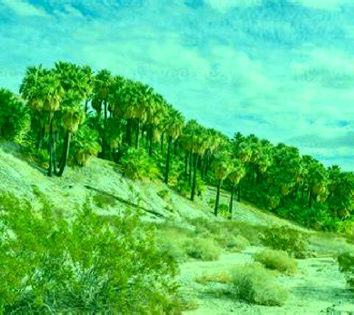 escort Thousand Palms